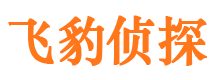 兴县市私人侦探